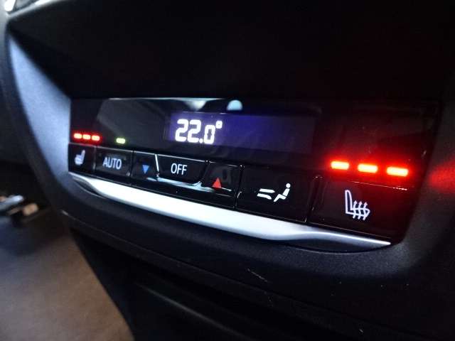 ＢＭＷ Ｘ４ Ｘドライブ３０Ｉ Ｍスポーツ ４ＷＤ R1年 (近畿) 99