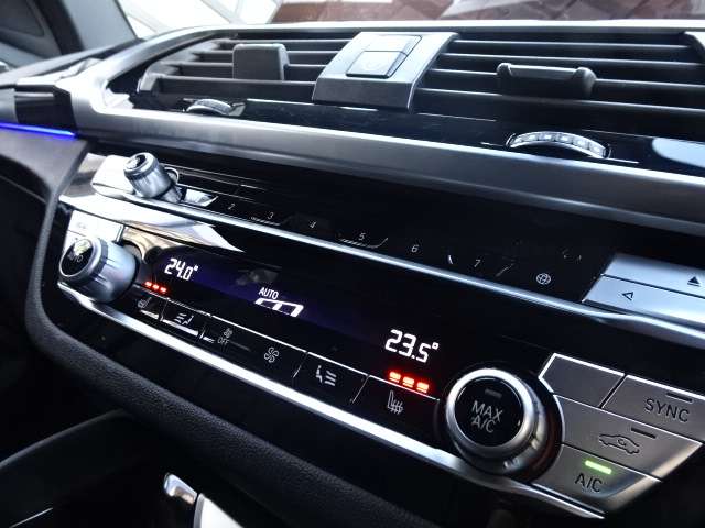 ＢＭＷ Ｘ４ Ｘドライブ３０Ｉ Ｍスポーツ ４ＷＤ R1年 (近畿) 99