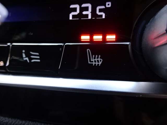 ＢＭＷ Ｘ４ Ｘドライブ３０Ｉ Ｍスポーツ ４ＷＤ R1年 (近畿) 99