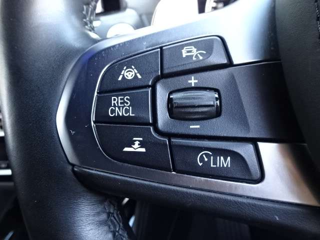 ＢＭＷ Ｘ４ Ｘドライブ３０Ｉ Ｍスポーツ ４ＷＤ R1年 (近畿) 99