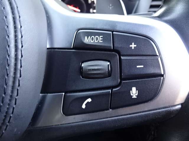 ＢＭＷ Ｘ４ Ｘドライブ３０Ｉ Ｍスポーツ ４ＷＤ R1年 (近畿) 99