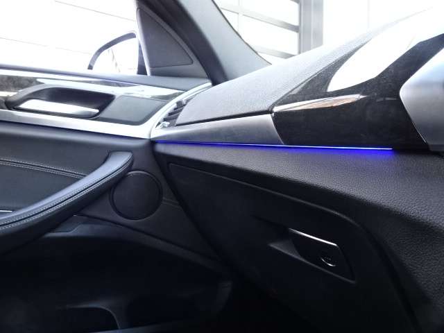 ＢＭＷ Ｘ４ Ｘドライブ３０Ｉ Ｍスポーツ ４ＷＤ R1年 (近畿) 99