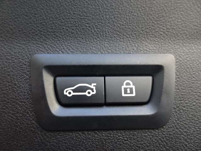 ＢＭＷ Ｘ４ Ｘドライブ３０Ｉ Ｍスポーツ ４ＷＤ R1年 (近畿) 99