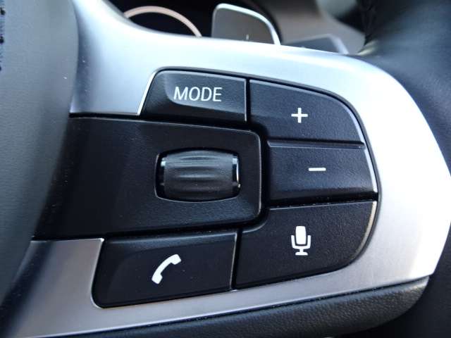 ＢＭＷ ５シリーズ ５３０ｉ　Ｍスポーツ R1年 (近畿) 99