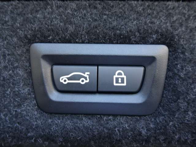 ＢＭＷ ５シリーズ ５３０ｉ　Ｍスポーツ R1年 (近畿) 99