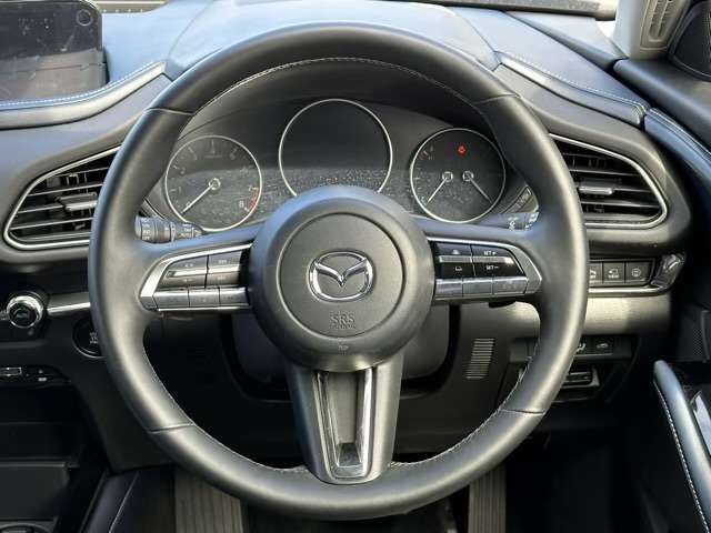 マツダ ＣＸ−３０ ２．０ ２０Ｓ プロアクティブ ツーリングセレクション R1年 (東海) 99