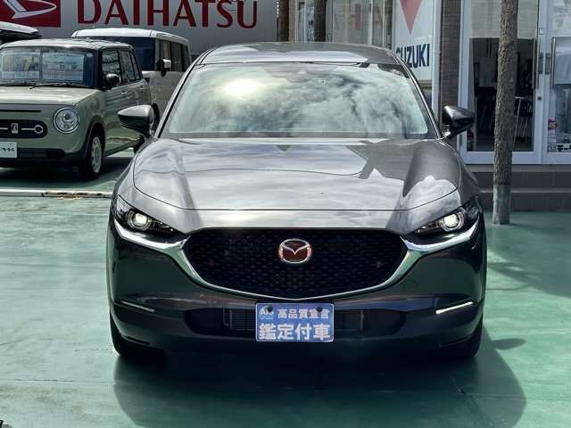 マツダ ＣＸ−３０ ２．０ ２０Ｓ プロアクティブ ツーリングセレクション R1年 (東海) 99