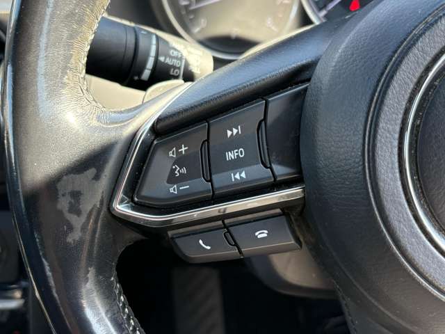 マツダ アテンザ　セダン ２．５ ２５Ｓ Ｌパッケージ H29年 (中国) 99