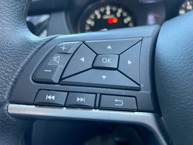 日産 エクストレイル ２．０ ２０Ｓ ２列車 ４ＷＤ R1年 (東北) 99