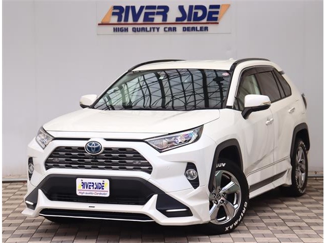 トヨタ ＲＡＶ４ ２．５ ハイブリッド Ｇ Ｅ－ＦＯＵＲ ４ＷＤ R3年 (関東) 99