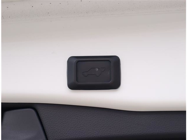 トヨタ ＲＡＶ４ ２．５ ハイブリッド Ｇ Ｅ－ＦＯＵＲ ４ＷＤ R3年 (関東) 99