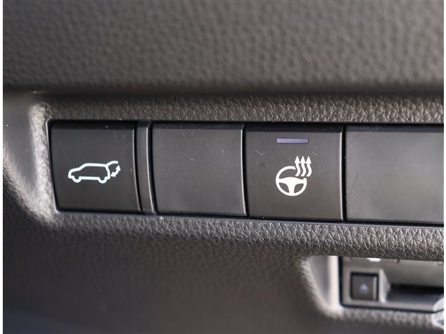 トヨタ ＲＡＶ４ ２．５ ハイブリッド Ｇ Ｅ－ＦＯＵＲ ４ＷＤ R3年 (関東) 99