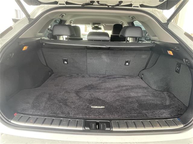 レクサス ＲＸ４５０ｈ バージョンＬ H28年 (東海) 99