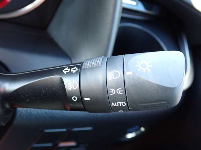 トヨタ アルファード ２．５ Ｓ タイプゴールド R2年 (関東) 99