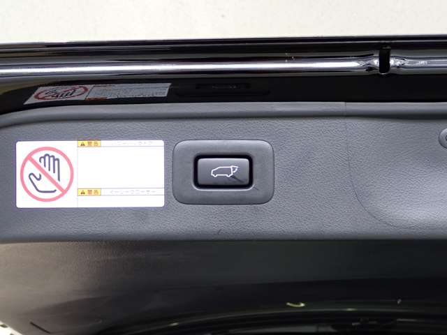 トヨタ アルファード ２．５ Ｓ タイプゴールド R2年 (関東) 99