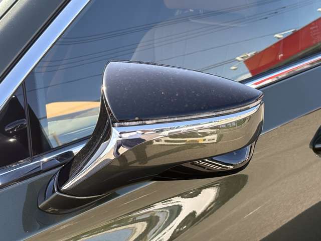 レクサス ＬＳ ヒデキマツヤマエディション R3年 (中国) 99