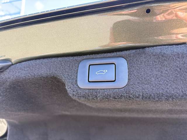 レクサス ＬＳ ヒデキマツヤマエディション R3年 (中国) 99