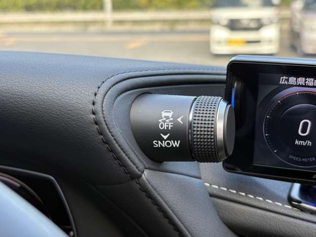 レクサス ＬＳ ヒデキマツヤマエディション R3年 (中国) 99