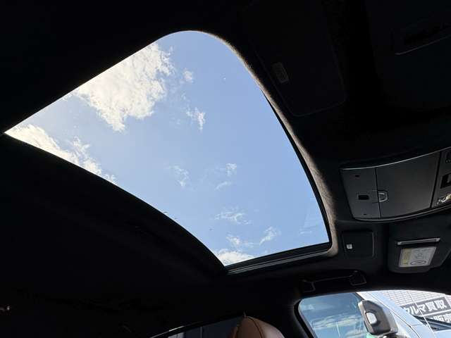 レクサス ＬＳ ヒデキマツヤマエディション R3年 (中国) 99