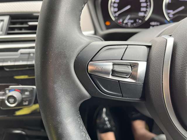 ＢＭＷ Ｘ２ Ｘドライブ１８Ｄ ＭスポーツＸ ディーゼルターボ ４ＷＤ R1年 (東海) 99