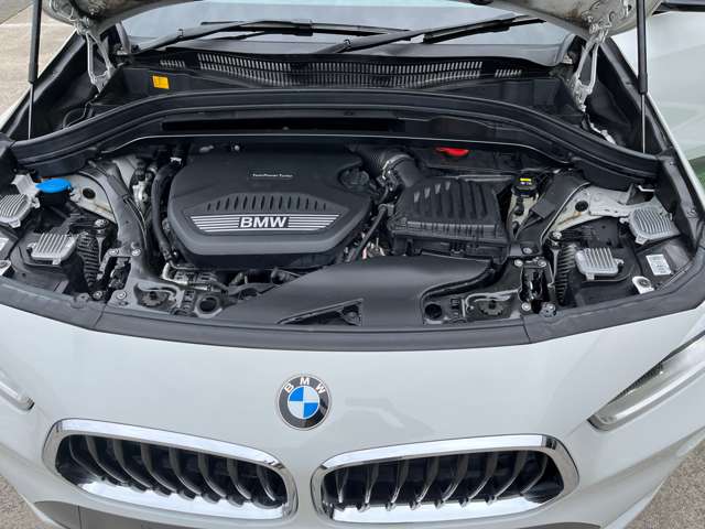 ＢＭＷ Ｘ２ Ｘドライブ１８Ｄ ＭスポーツＸ ディーゼルターボ ４ＷＤ R1年 (東海) 99
