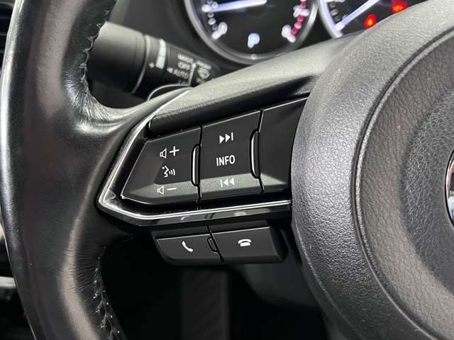 マツダ アテンザ　セダン ２．０ ２０Ｓ プロアクティブ H28年 (関東) 99