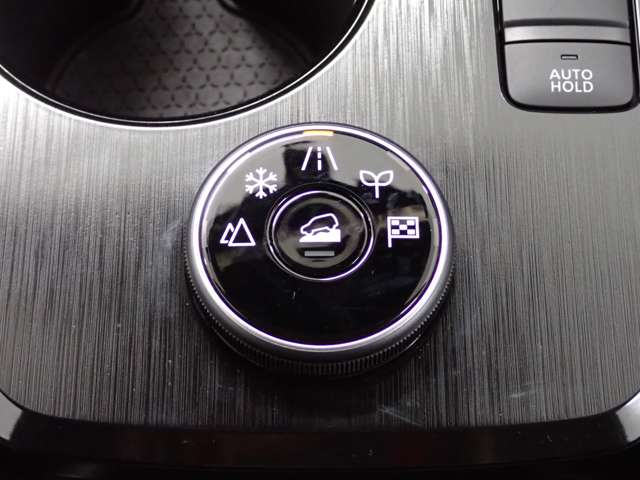 日産 エクストレイル １．５ Ｘ Ｅ－４ＯＲＣＥ ４ＷＤ R5年 (関東) 99