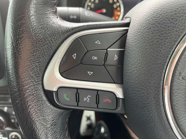 ジープ レネゲード トレイルホーク ４ＷＤ H28年 (東海) 99