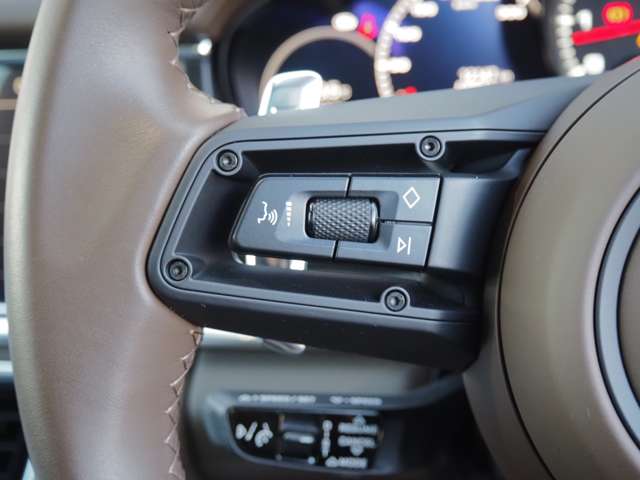 ポルシェ パナメーラ プラチナ エディション ＰＤＫ R5年 (近畿) 99