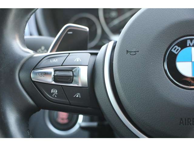 ＢＭＷ ３シリーズ ３２０Ｉ Ｍスポーツ H29年 (関東) 99