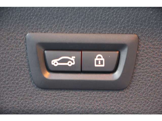 ＢＭＷ ３シリーズ ３２０Ｉ Ｍスポーツ H29年 (関東) 99