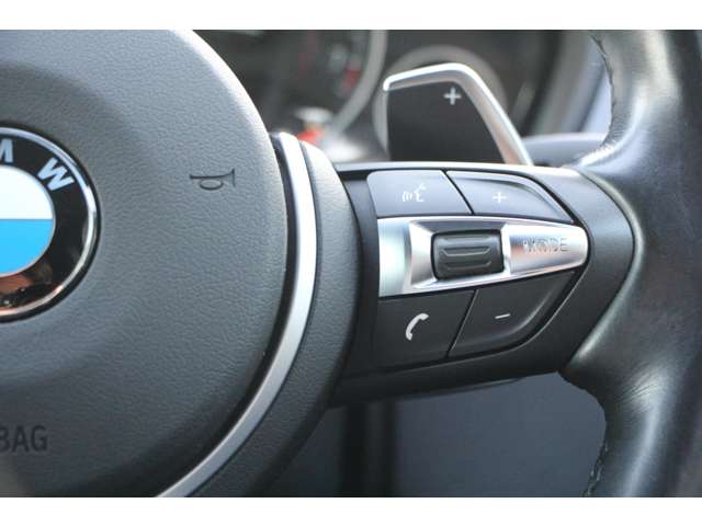 ＢＭＷ ３シリーズ ３２０Ｉ Ｍスポーツ H29年 (関東) 99