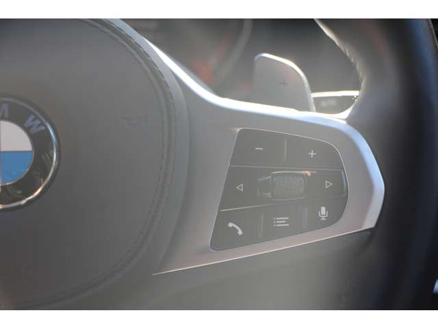 ＢＭＷ Ｘ３ Ｘドライブ２０Ｄ Ｍスポーツ ディーゼルターボ ４ＷＤ R2年 (関東) 99