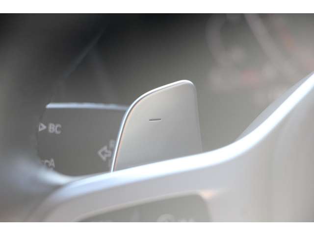 ＢＭＷ Ｘ３ Ｘドライブ２０Ｄ Ｍスポーツ ディーゼルターボ ４ＷＤ R2年 (関東) 99