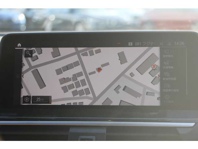 ＢＭＷ Ｘ３ Ｘドライブ２０Ｄ Ｍスポーツ ディーゼルターボ ４ＷＤ R2年 (関東) 99