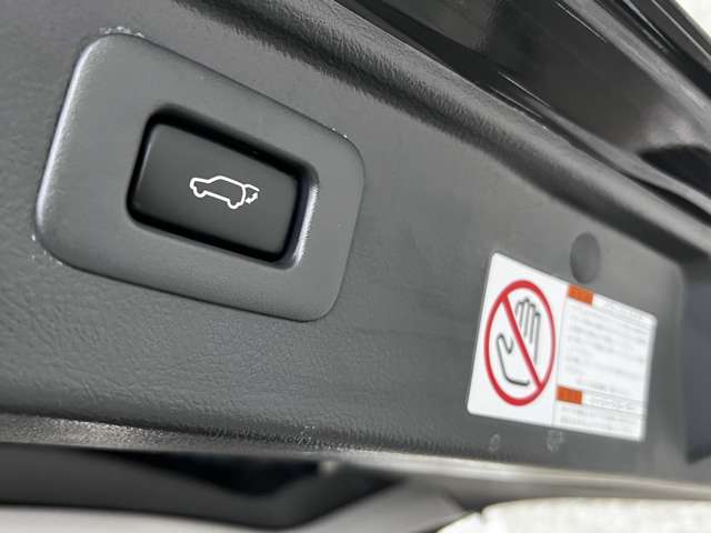 トヨタ アルファード ２．４ ２４０Ｓ タイプゴールドＩＩ H26年 (関東) 99