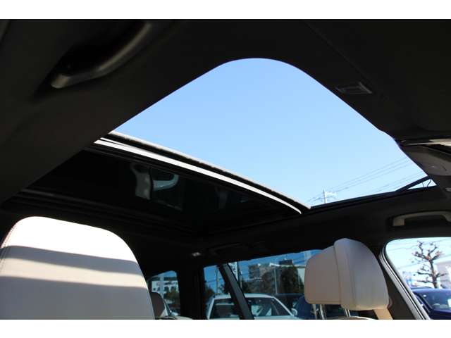 ＢＭＷ ５シリーズ ５４０Ｉ Ｘドライブ Ｍスポーツ ４ＷＤ H29年 (関東) 99