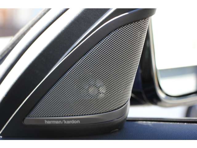 ＢＭＷ ５シリーズ ５４０Ｉ Ｘドライブ Ｍスポーツ ４ＷＤ H29年 (関東) 99