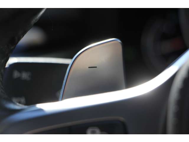 ＢＭＷ ５シリーズ ５４０Ｉ Ｘドライブ Ｍスポーツ ４ＷＤ H29年 (関東) 99