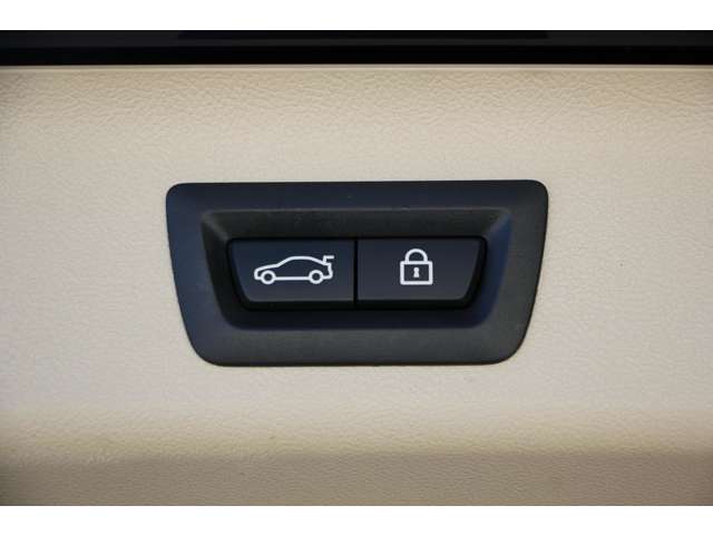 ＢＭＷ ５シリーズ ５４０Ｉ Ｘドライブ Ｍスポーツ ４ＷＤ H29年 (関東) 99