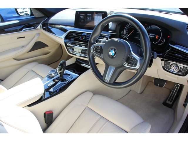 ＢＭＷ ５シリーズ ５４０Ｉ Ｘドライブ Ｍスポーツ ４ＷＤ H29年 (関東) 99
