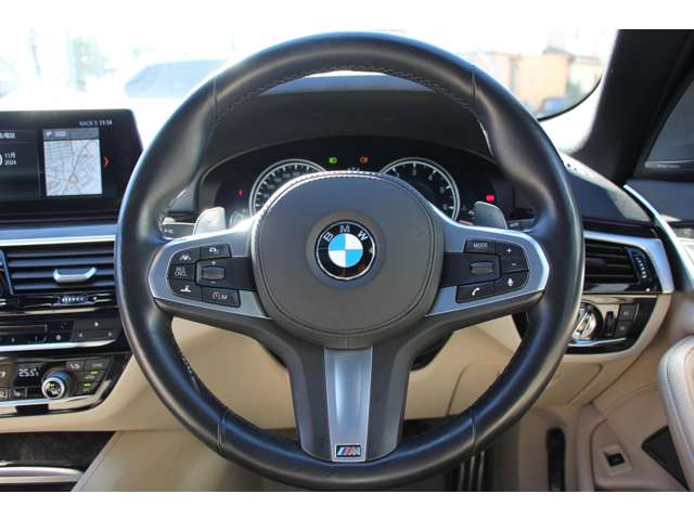 ＢＭＷ ５シリーズ ５４０Ｉ Ｘドライブ Ｍスポーツ ４ＷＤ H29年 (関東) 99