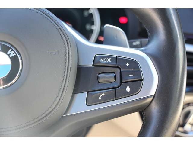 ＢＭＷ ５シリーズ ５４０Ｉ Ｘドライブ Ｍスポーツ ４ＷＤ H29年 (関東) 99