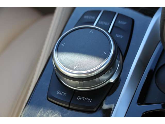 ＢＭＷ ５シリーズ ５４０Ｉ Ｘドライブ Ｍスポーツ ４ＷＤ H29年 (関東) 99