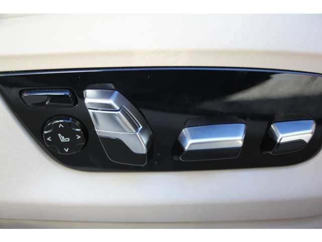 ＢＭＷ ５シリーズ ５４０Ｉ Ｘドライブ Ｍスポーツ ４ＷＤ H29年 (関東) 99