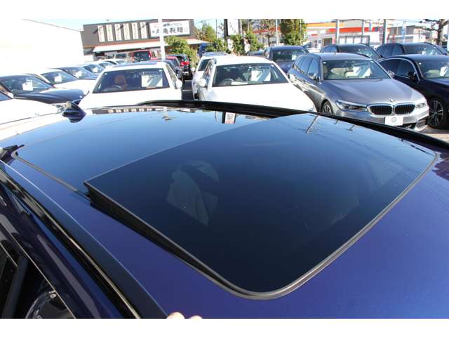 ＢＭＷ ５シリーズ ５４０Ｉ Ｘドライブ Ｍスポーツ ４ＷＤ H29年 (関東) 99