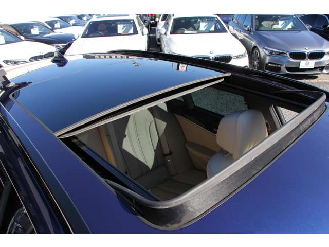 ＢＭＷ ５シリーズ ５４０Ｉ Ｘドライブ Ｍスポーツ ４ＷＤ H29年 (関東) 99