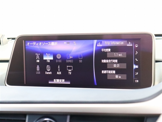 レクサス ＲＸ３００ Ｆスポーツ H30年 (関東) 99