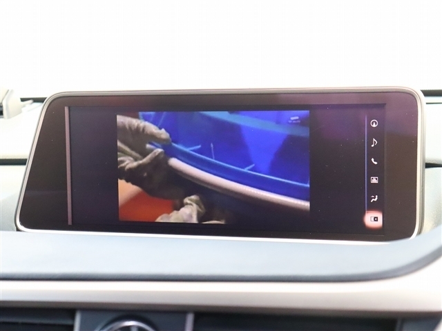 レクサス ＲＸ３００ Ｆスポーツ H30年 (関東) 99