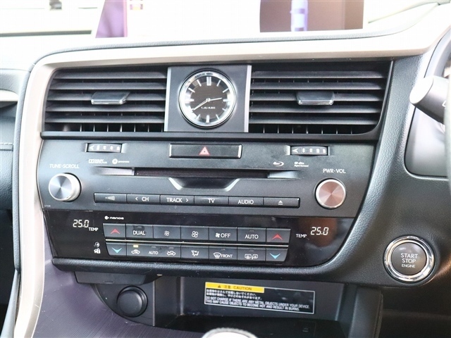 レクサス ＲＸ３００ Ｆスポーツ H30年 (関東) 99